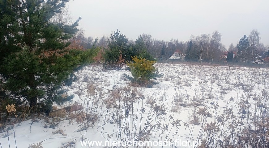 na sprzedaż działka Łochowo 